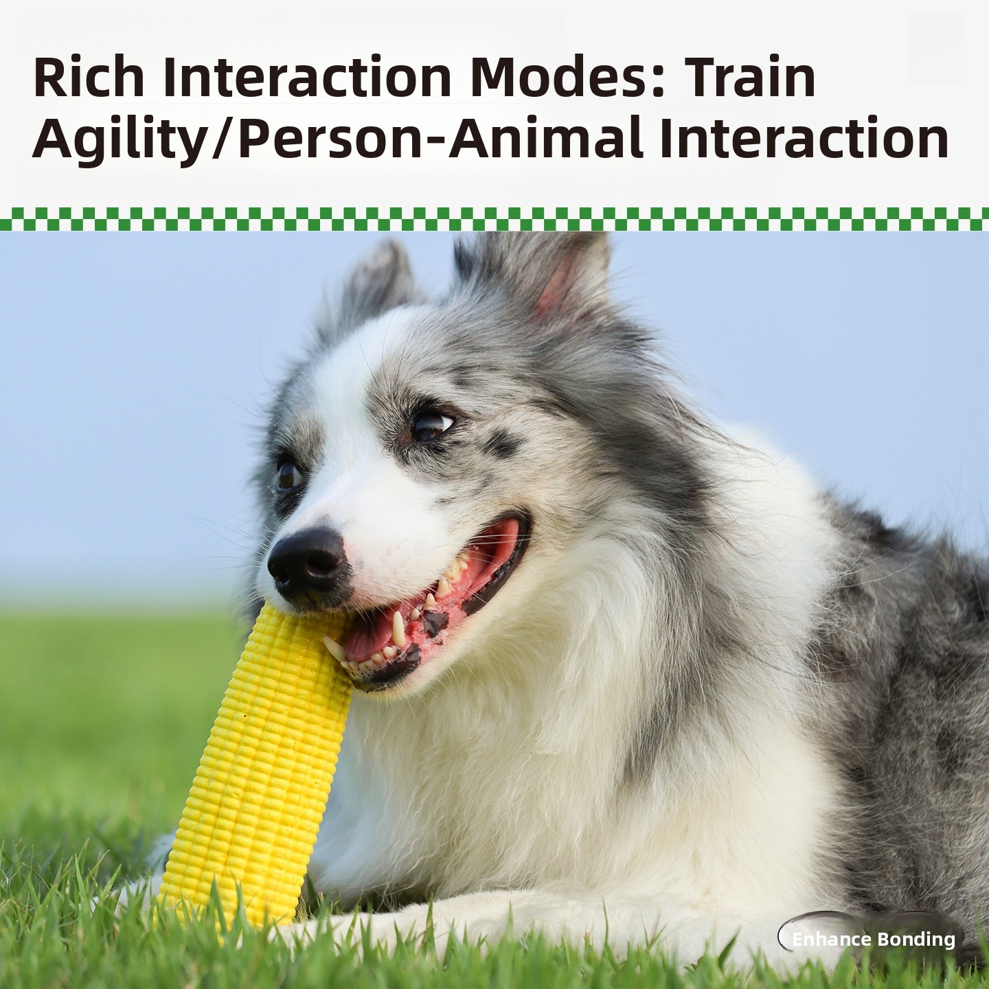 QZee Durable ETPU Corn Dog Toy - Corn Dog Stick recension och pris