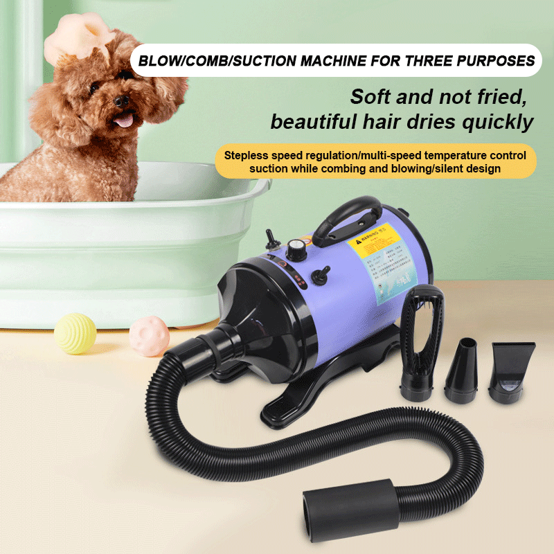 2800W High-power Dogs Hair Dry - Hot Dog Press recension och pris